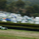 Illustration for article titled Goodwood Revival Photos